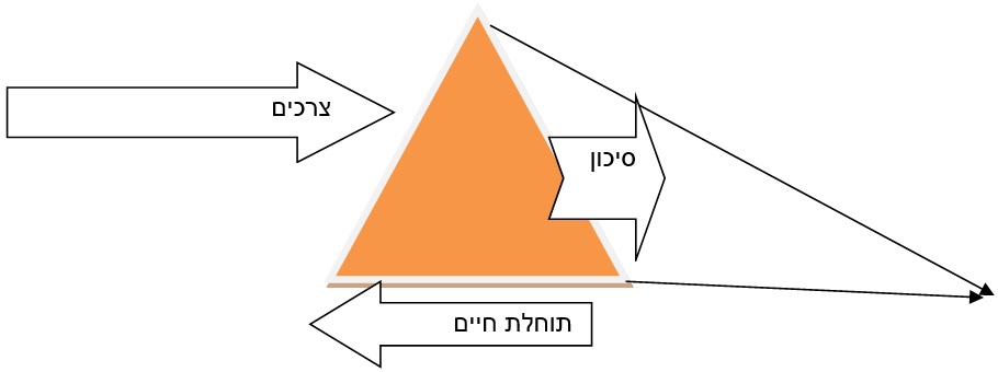 סיכון צרכים תוחלת חיים בפרישה ולאחר פרישה